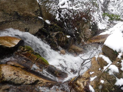 DSCF1561
