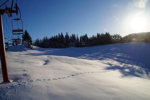 DSC01601