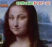 モナリザの微笑みに眉毛 Snowgoose