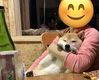 犬の抱っこの仕方 柴犬モコモコ日記