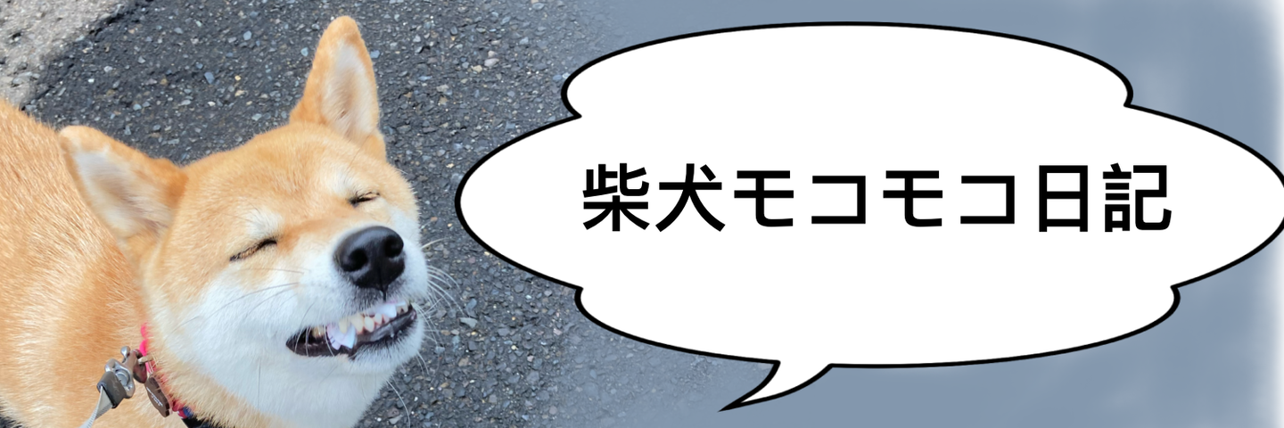 パラコード首輪の編み方 花 アクセサリーver 柴犬モコモコ日記