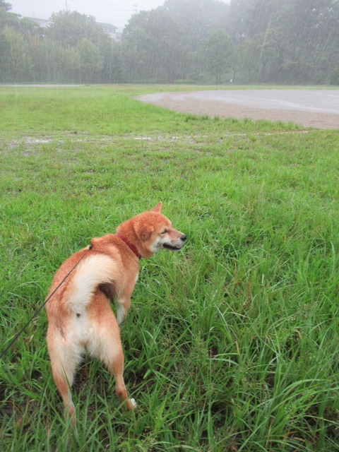 CA36EF1E-C551-49FF-8DDD-12EE12C51872