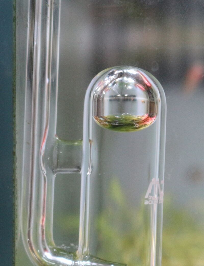 新商品のご紹介です : アクアマリン