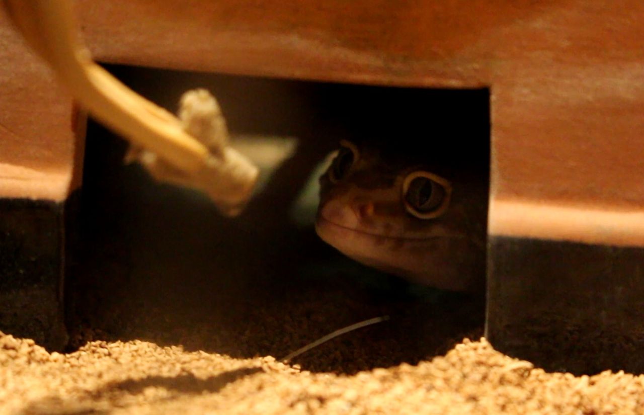 19年07月 アクアマリン