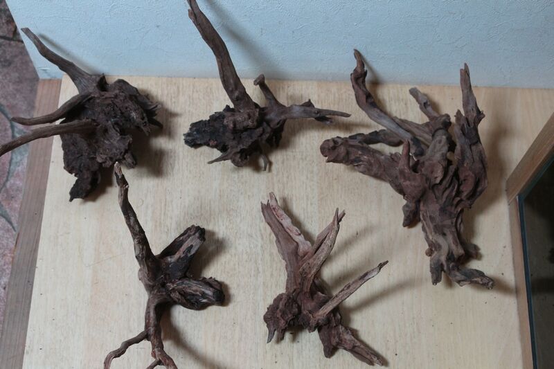 ADA 流木 ホーンウッド ADAホーンウッド15個 ADAホーンウッド 入荷しま