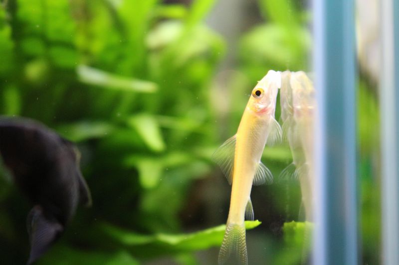 5月28日入荷情報です アクアマリン