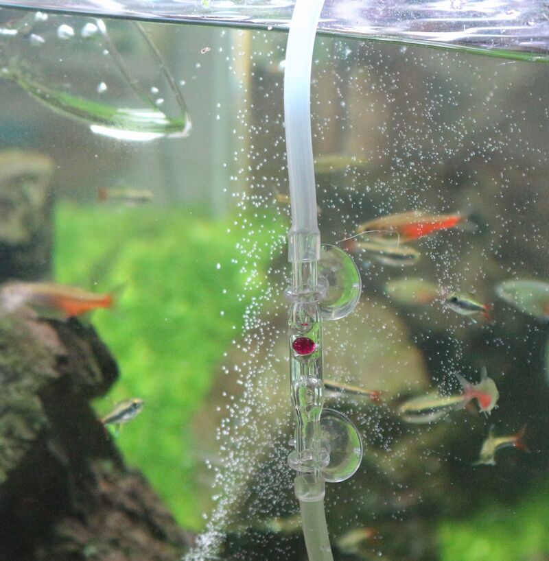 カボーションルビーを設置しました : アクアマリン