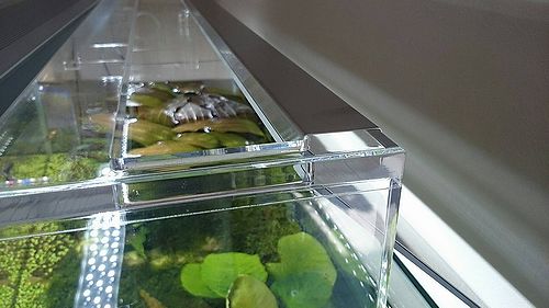 アクアスカイ専用ミラーユニットのご紹介 : アクアマリン