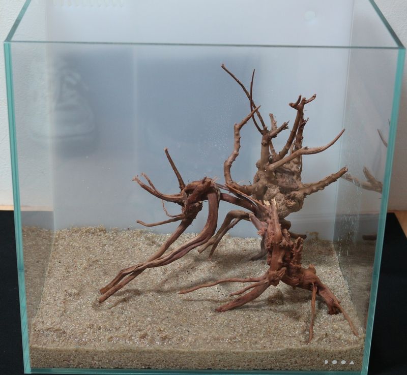 システムアクア30をレイアウトさせていただきました : アクアマリン