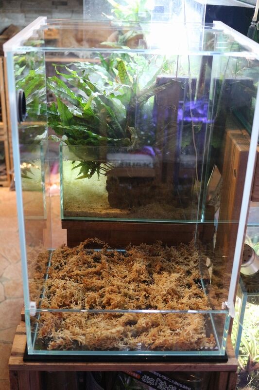 ネオグラスパルダ30を設置しました : アクアマリン