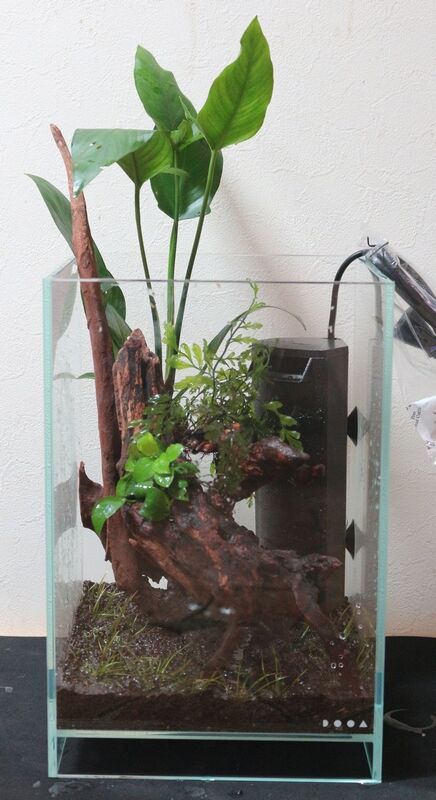 NEO GLASS AIR & アクアステージ水槽 NEO GLASS AIR & アクアステージ水槽