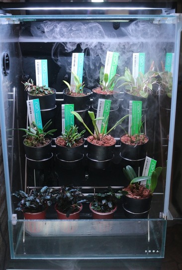 コレクションワイヤースタンドを設置しました : アクアマリン