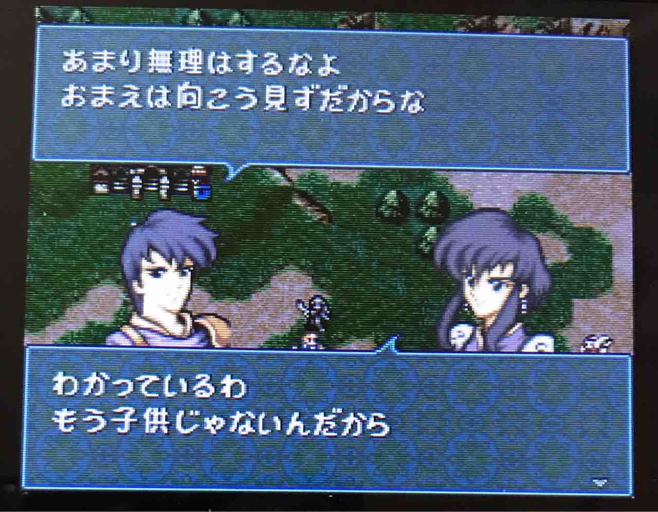 Fe 聖戦の系譜 ハッピーエンド目指して 小鳥のゲーム日記