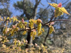 a23IMG_4047