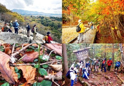 写真レイアウト用ベース