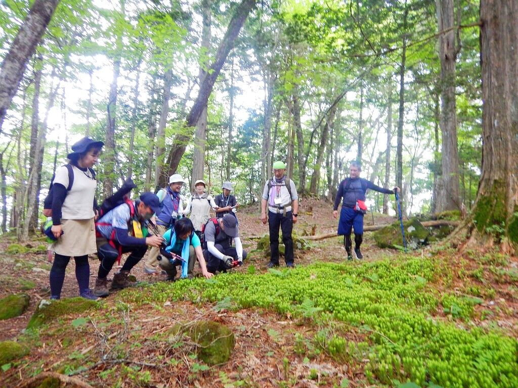 さあ いよいよ夏が始まりました 緑濃い新湯富士の森へ プログラム開催レポート ７月期ネイチャーウオーク大沼公園 新湯富士の森編 塩原温泉ビジターセンター通信