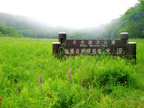 R0056228