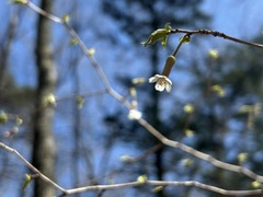 a3IMG_4031