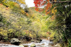 八方ケ原線歩道IMG_1664