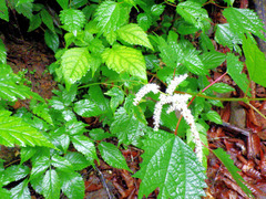R0055871