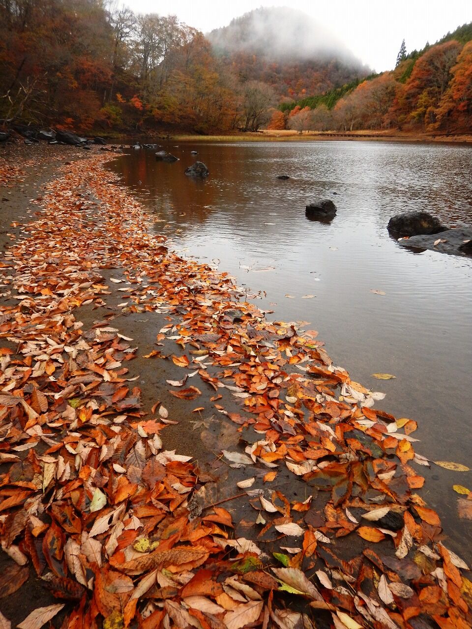 塩原温泉紅葉情報 11 05 秋麗 秋うらら 錦秋と晩秋を同時に堪能する紅葉狩り 塩原温泉ビジターセンター通信 塩原温泉紅葉情報 11 05 秋麗 秋うらら 錦秋と晩秋を同時に堪能する紅葉狩り 塩原温泉ビジターセンター通信