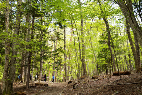 ☆_DSC4784_01