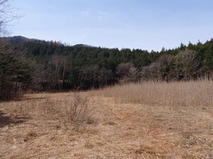 4P4095486