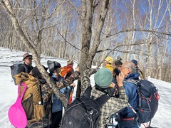 aaIMG_6855