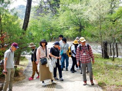 DSCN6334