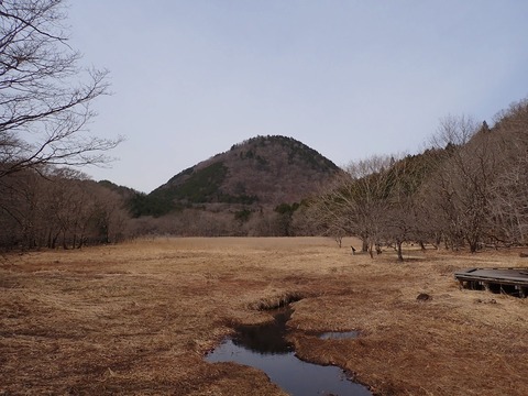 25P4095539