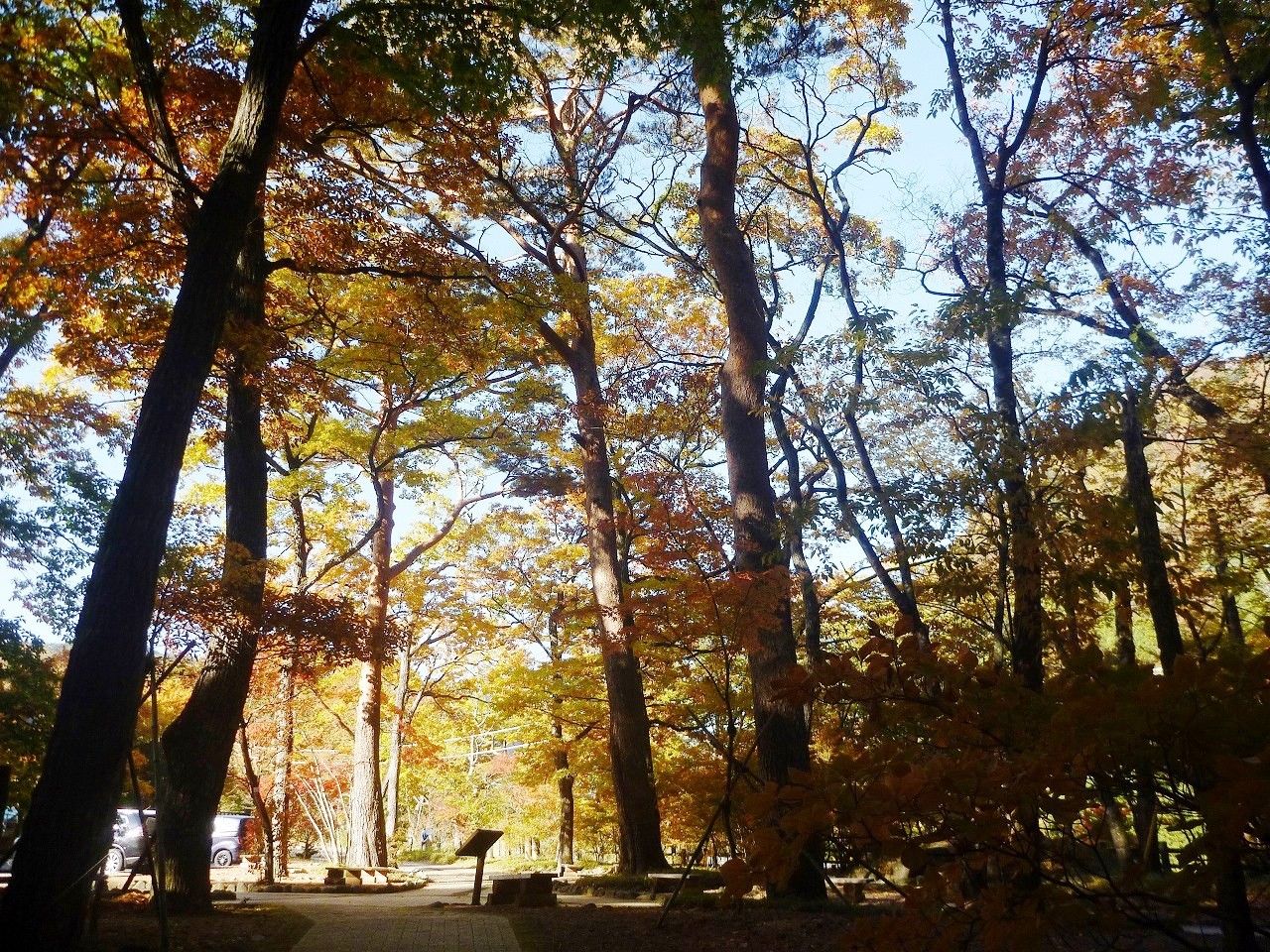 塩原温泉紅葉情報 18 11 04 錦秋の森の一期一会 塩原温泉ビジターセンター通信