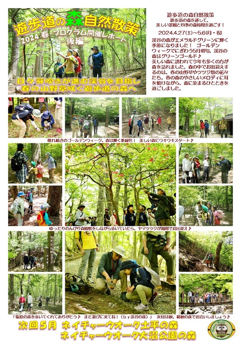 2024年春季 遊歩道の森後編