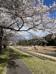 a14IMG_3972