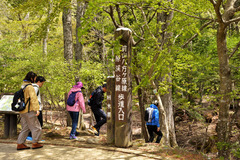 ☆_DSC4764_01