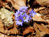 ☆R0052660