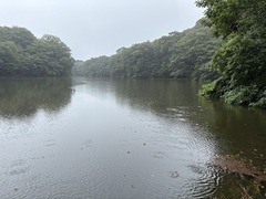 5IMG_1567