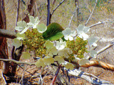 ☆R0052756