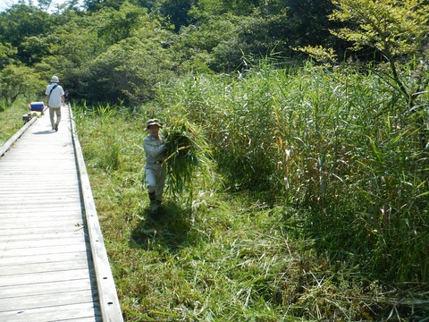 DSCN0930