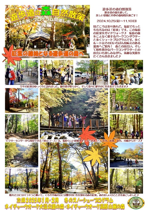 10-11月遊歩道の森_後編