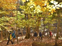 大沼_DSC1657_00128