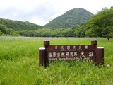 P7015952