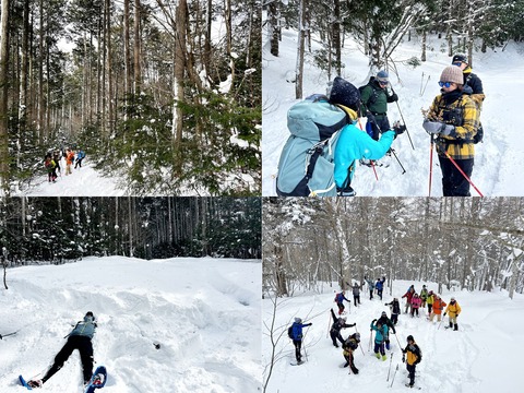 写真レイアウト用ベース