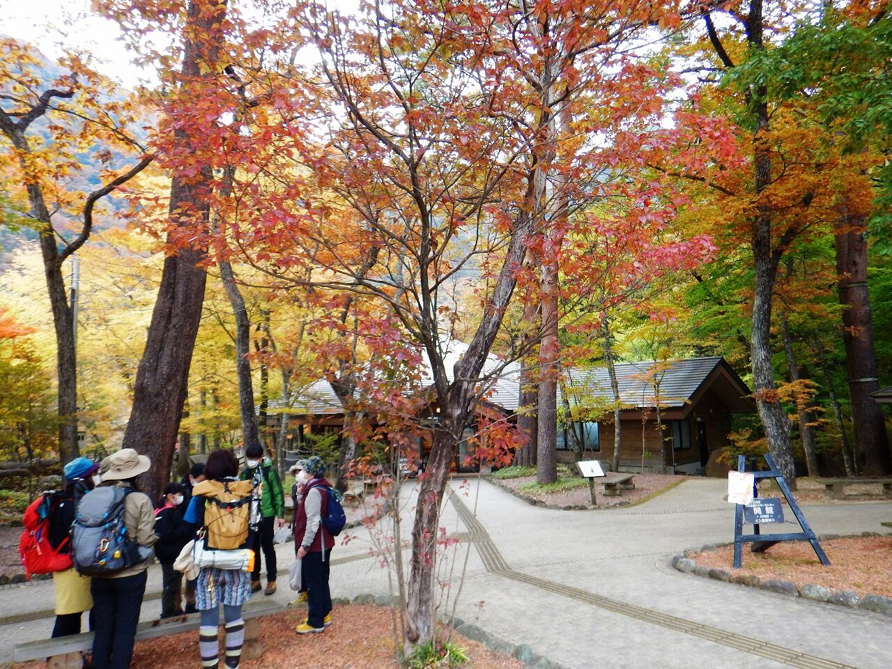 秋の連日開催 遊歩道の森自然散策 プログラム 錦秋の森散策 22 10 22 11 13 塩原温泉ビジターセンター通信