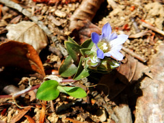 DSCN0662_01