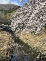 a10IMG_3936