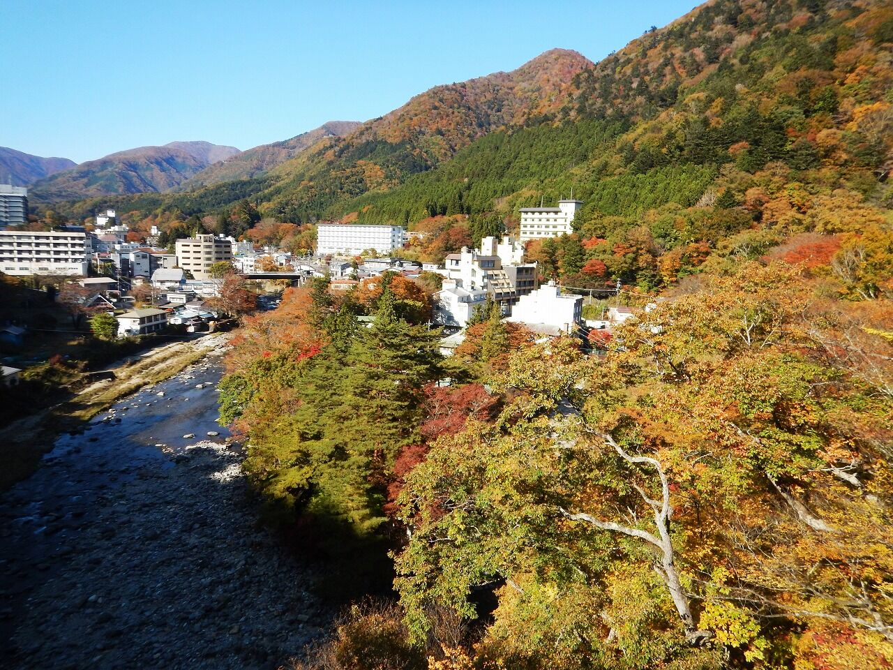 塩原温泉紅葉情報 10 31 秋麗 秋うらら 塩原温泉郷 吊橋が誘う紅葉の渓谷景観 塩原温泉ビジターセンター通信 塩原温泉紅葉情報 10 31 秋麗 秋うらら 塩原温泉郷 吊橋が誘う紅葉の渓谷景観 塩原温泉ビジターセンター通信