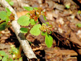 ☆R0052701