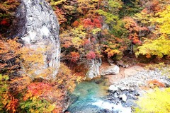 a97DSCN9986 - コピー