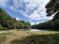 4IMG_1387