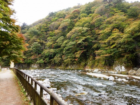 30DSCN0772